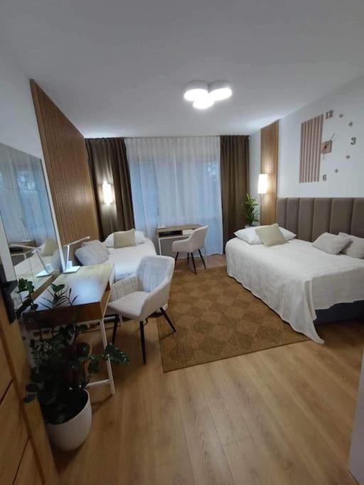 Апартаменти Apartament Podgorna 19 Торунь Екстер'єр фото