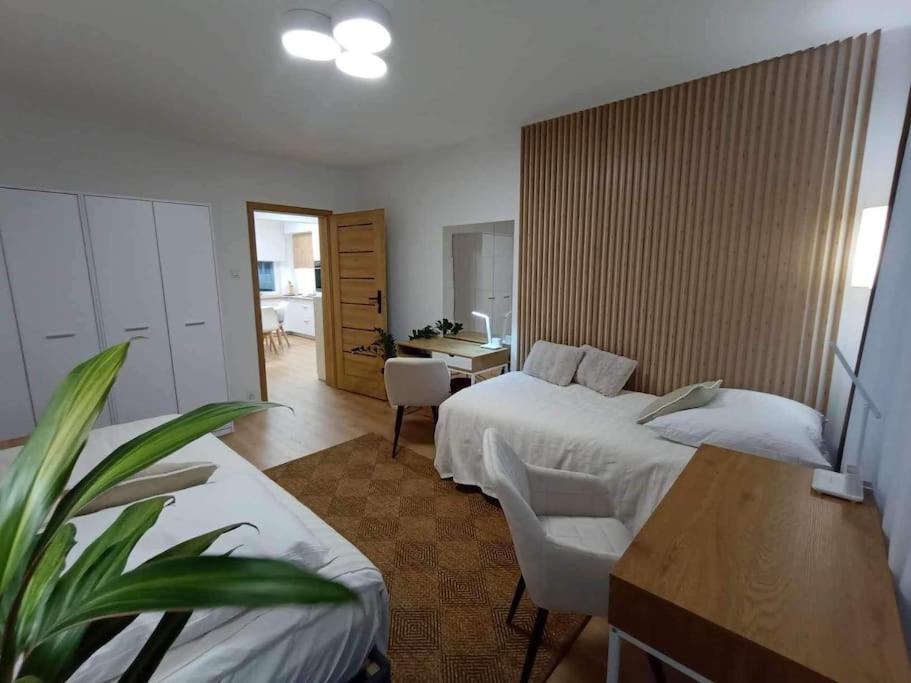 Апартаменти Apartament Podgorna 19 Торунь Екстер'єр фото