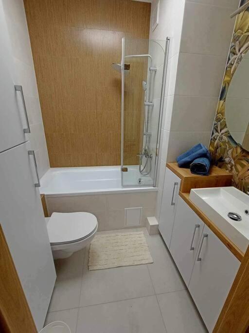Апартаменти Apartament Podgorna 19 Торунь Екстер'єр фото