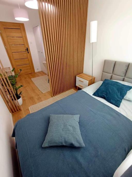 Апартаменти Apartament Podgorna 19 Торунь Екстер'єр фото