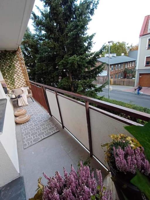 Апартаменти Apartament Podgorna 19 Торунь Екстер'єр фото