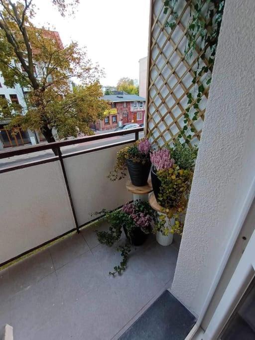 Апартаменти Apartament Podgorna 19 Торунь Екстер'єр фото